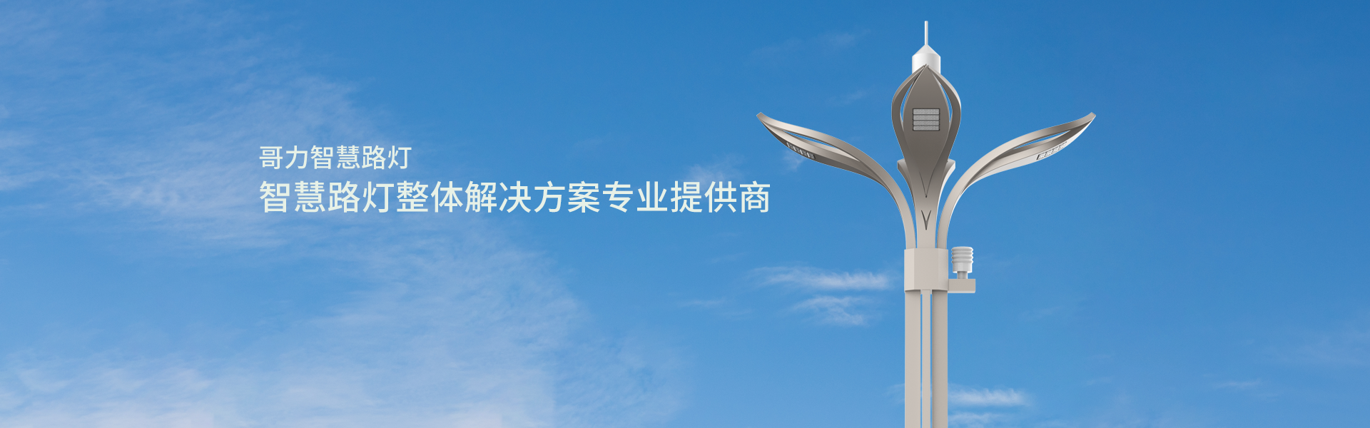 哥力智慧路燈 哥力智慧路燈